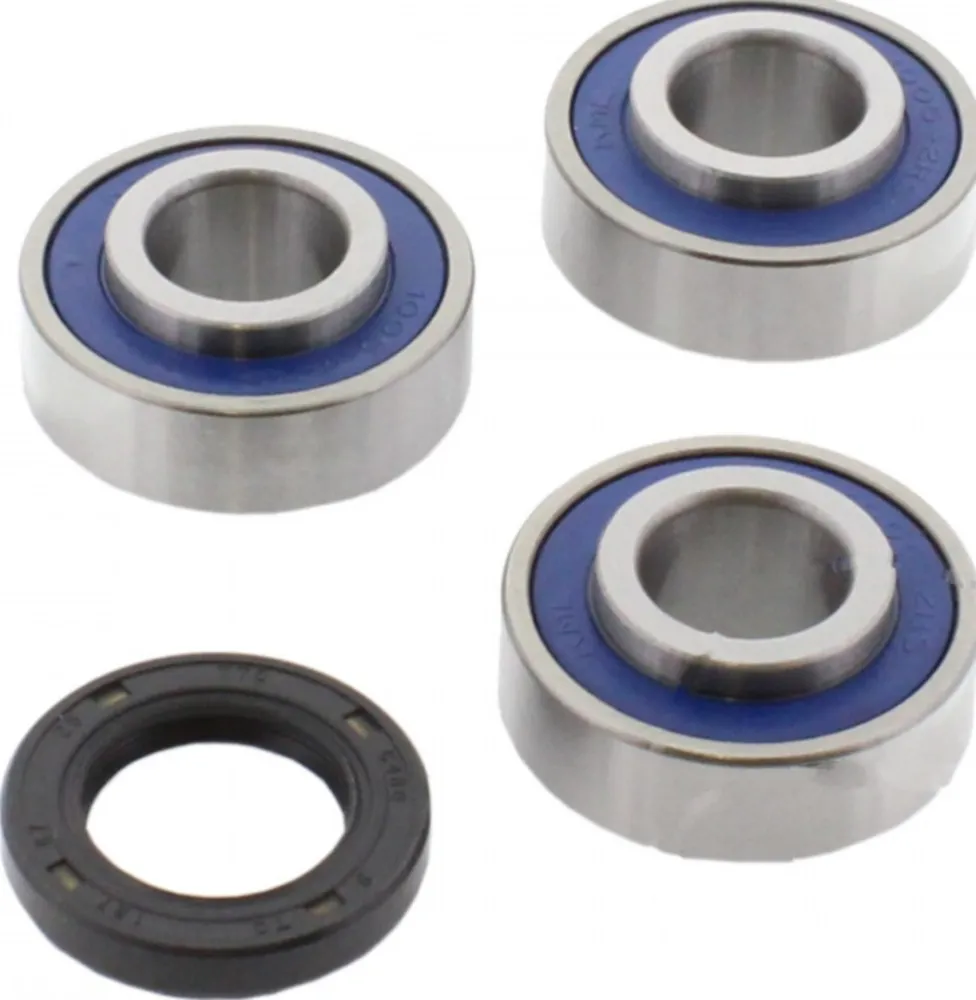 Wheel bearing and seal kit 251366
