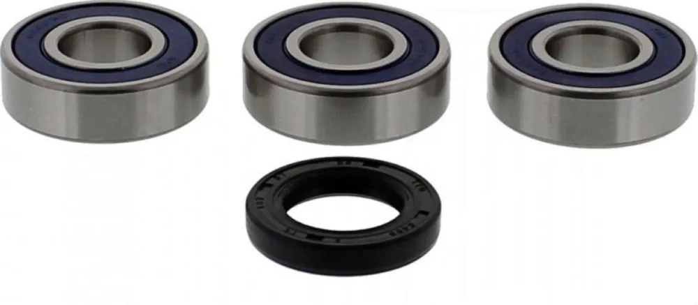 Wheel bearing and seal kit 251370