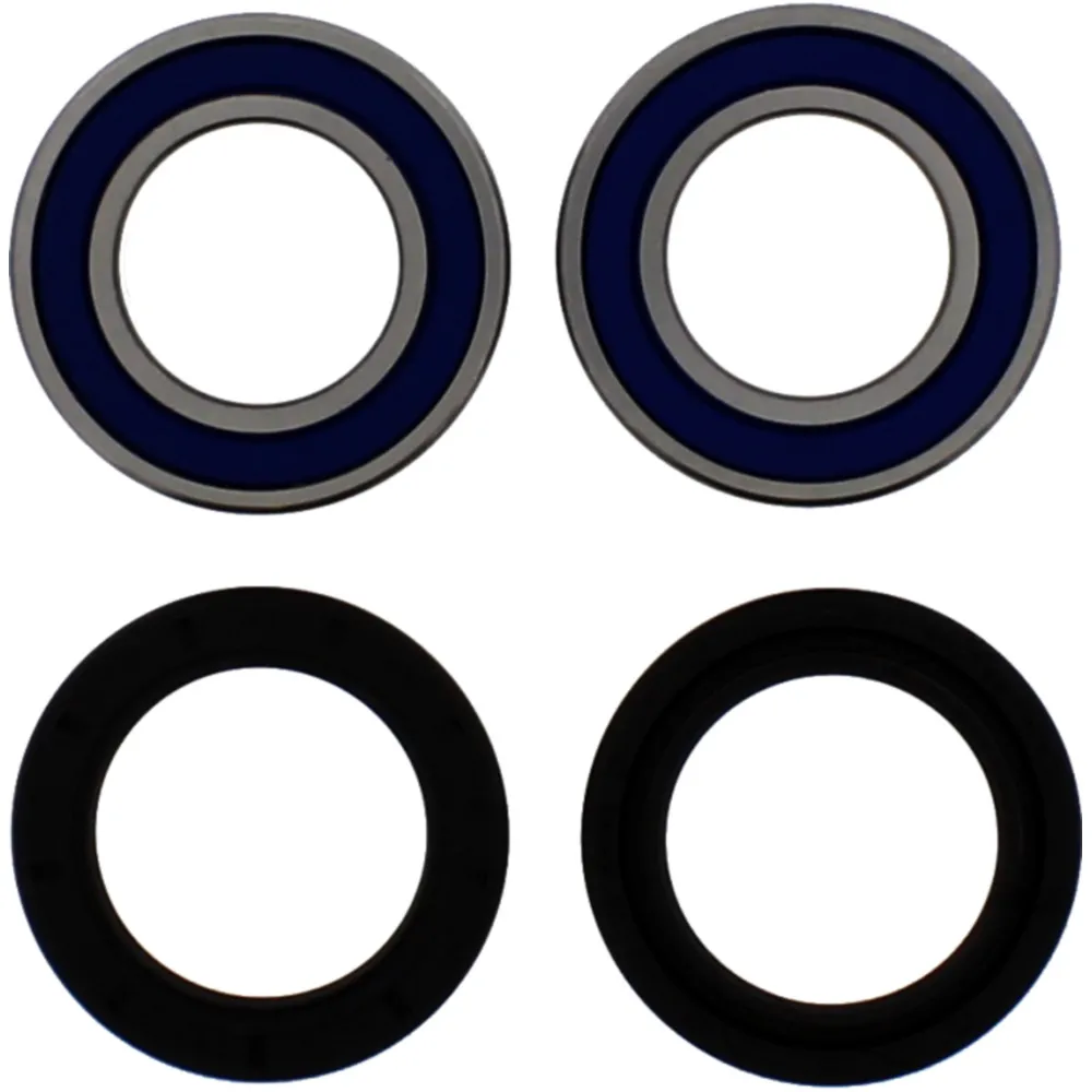 Wheel bearing and seal kit 251299