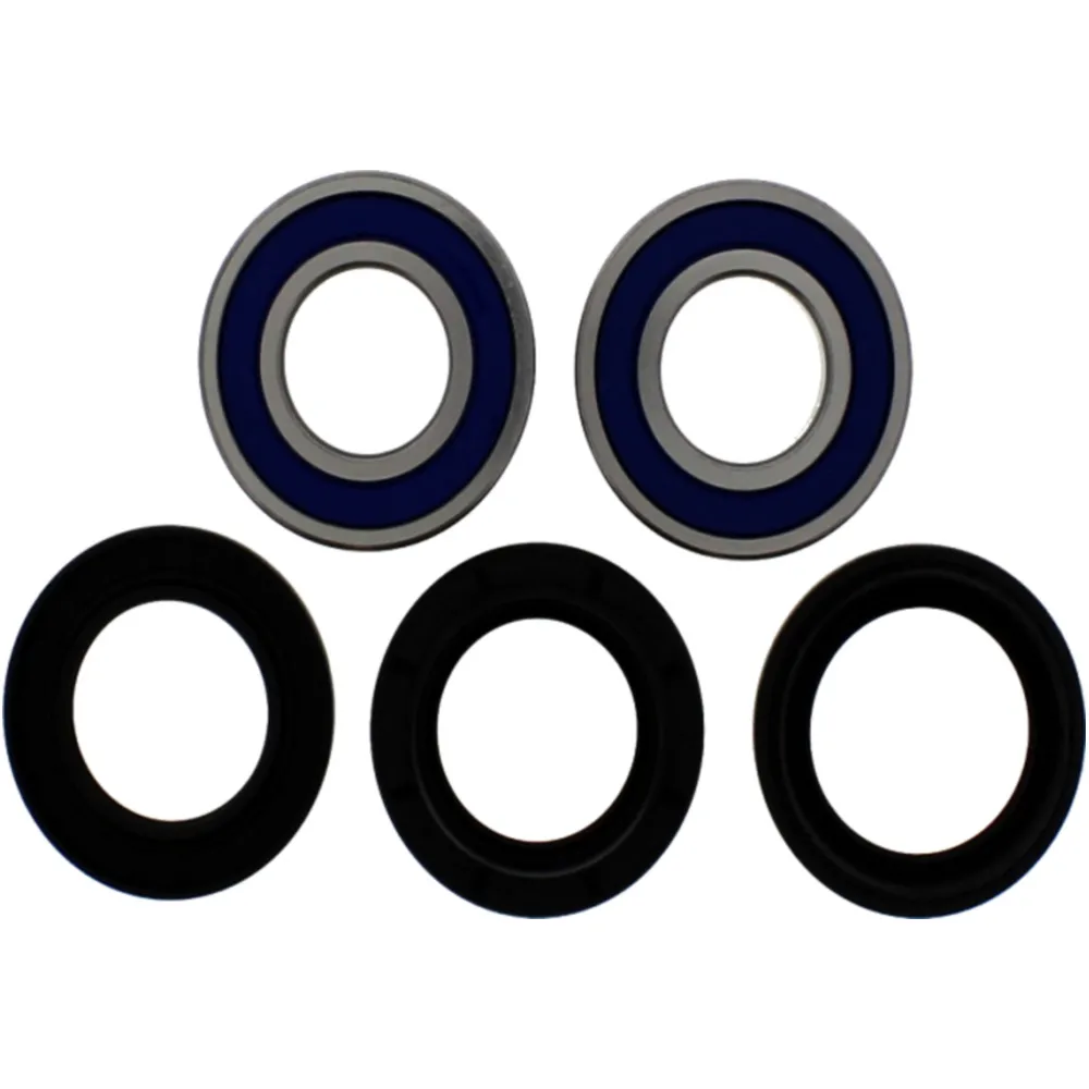 Wheel bearing and seal kit 251542