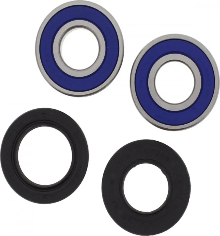 Wheel bearing and seal kit 251647