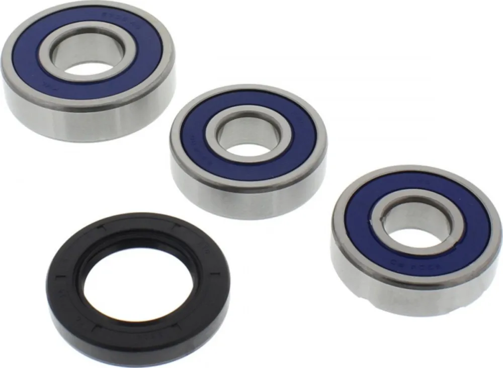 Wheel bearing and seal kit 251362