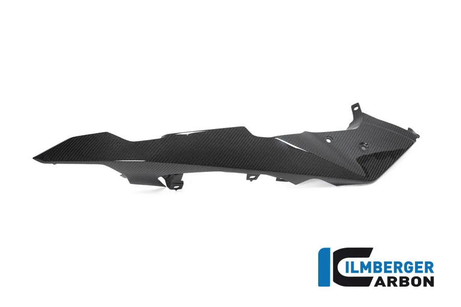 Schnabel vorne / oberer Kotflügel links, Carbon