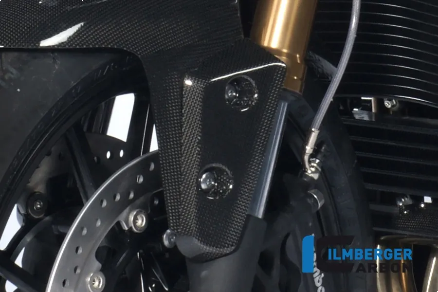 Flap am Kotflügel vorne links, Carbon