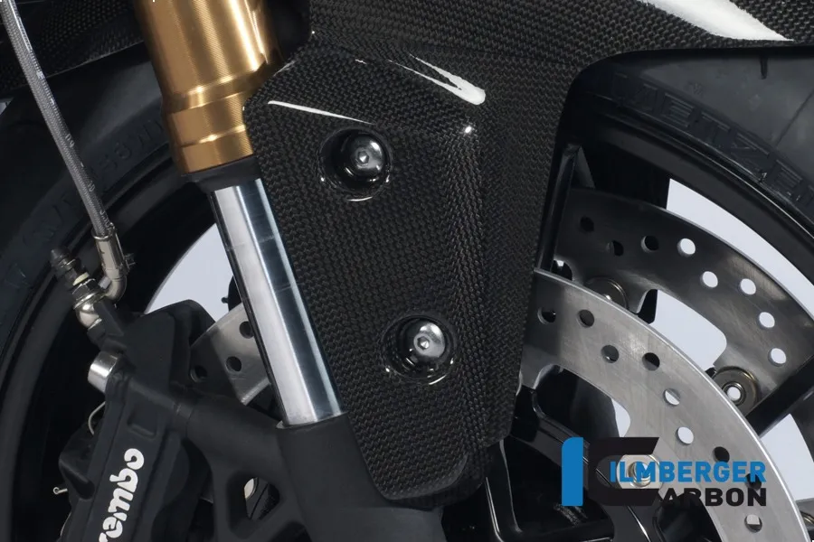 Flap am Kotflügel vorne rechts, Carbon