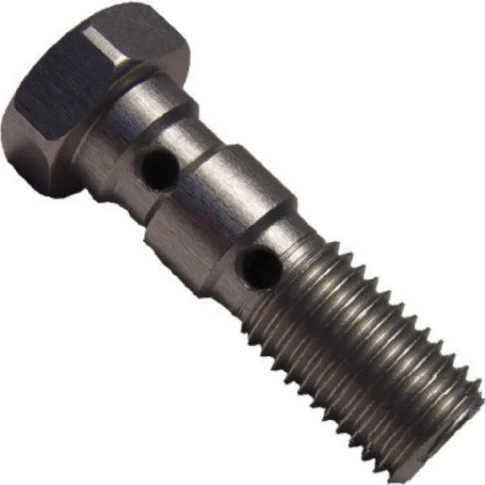 Banjo bolt double m10x1.25 silver
