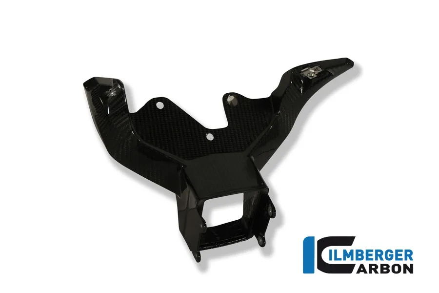 Verkleidungshalter / Instrumententräger, Carbon