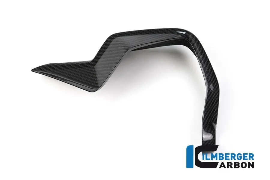 Handprotektoren rechts